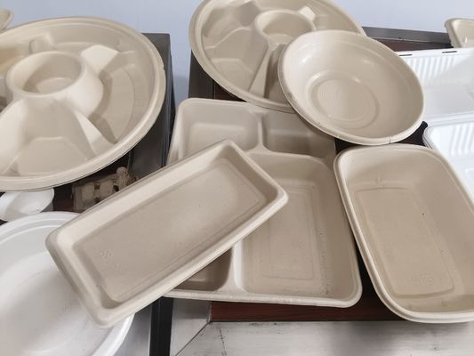  Sistema Automatizado de Pulverização para Revestimento de Polpa Moldada | Revestimento Interno de Precisão