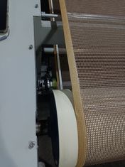 Linha de produção de secagem por microondas de tinta à base de água Servo motor