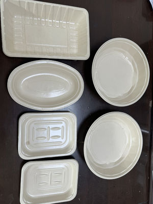 Linha de revestimento de espinha de moldagem de celulose de 12 estações para revestimento e secagem de utensílios de mesa de bagaço Sistema de produção integrado