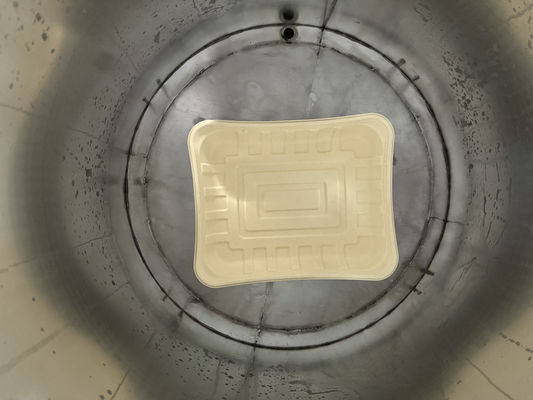 Linha de revestimento por rotação de 24 estações para impermeabilização de celulose moldada com sistema de secagem de alta eficiência para bagaço e louça de bambu