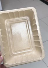 Linha interna de revestimento por rotação para produtos de moldagem de celulose - Sistema de revestimento de precisão totalmente automático