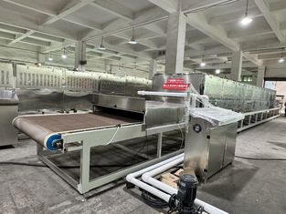 Sistema de esterilização e secagem de microondas de qualidade alimentar, preservando nutrientes e aumentando a vida útil