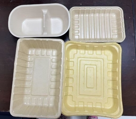 Linha de Produção de Revestimento Interno para Bandeja, Tigela e Louça de Mesa Segura para Alimentos, Resistente a Óleo e Água Quente, à Prova de Alta Temperatura, para Moldagem de Polpa