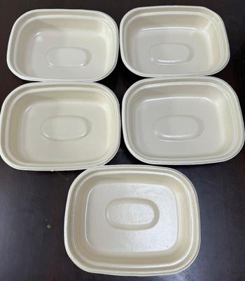 Protótipo de revestimento de rotação de duas estações neutro em carbono para louça de base vegetal - Solução neutra em carbono para pratos, tigelas e bandejas de carne