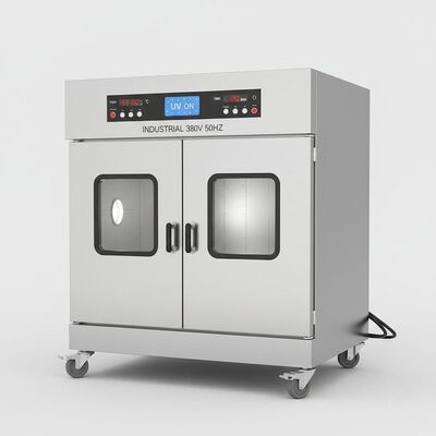 Dois porta Constant Temperature Blast Drying Oven UV Industial 380V 50HZ