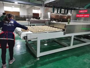 Máquina de Secagem de Frutas e Ervas por Micro-ondas Industrial | Alta Eficiência e Preservação da Qualidade