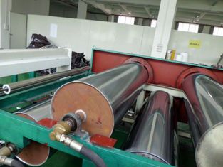 Linha branca verde da pré-lacagem em contínuo de /computer da grama
