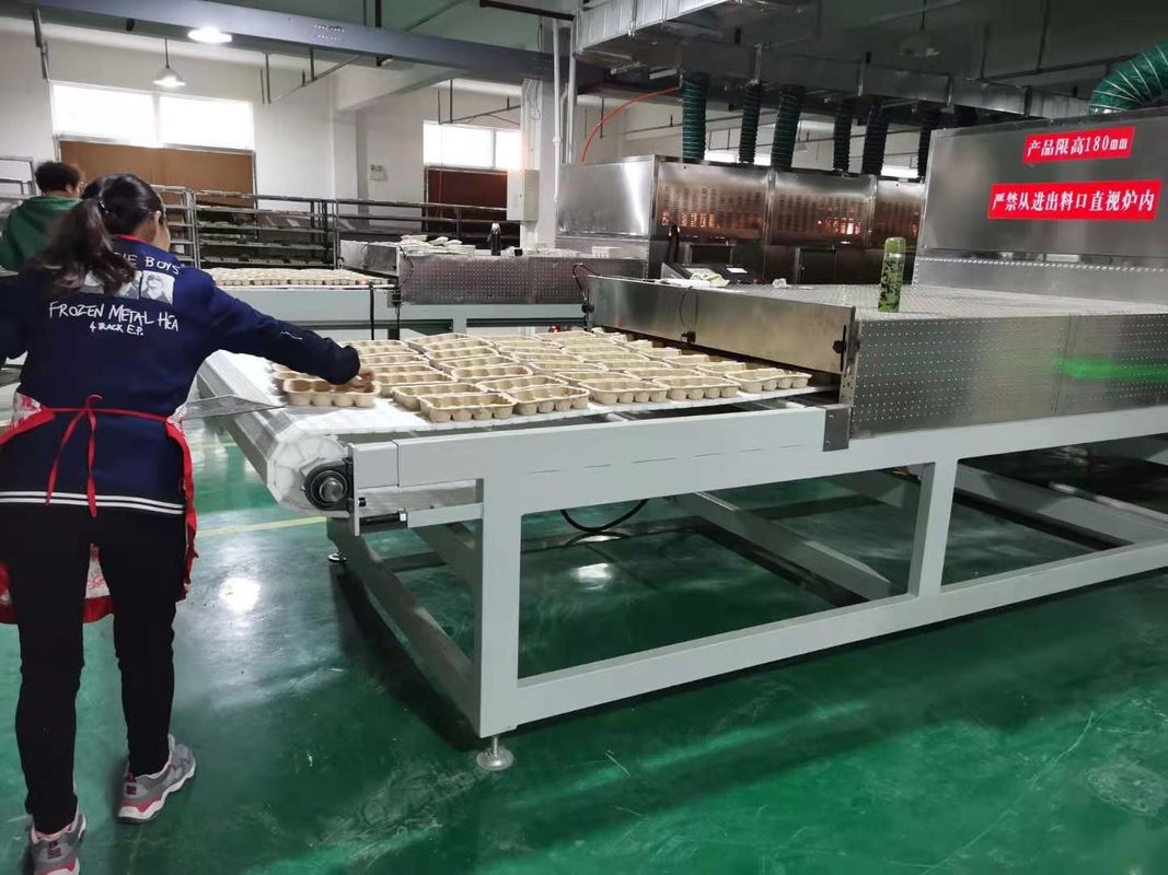 Equipamento inovador de secagem a vácuo por microondas com ampla gama de temperaturas