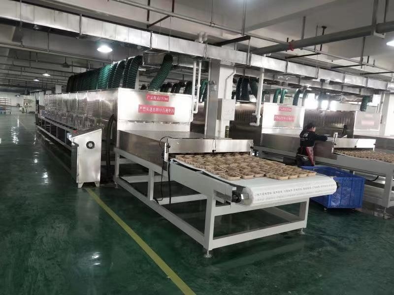 Secador de microondas a vácuo de 1 T/h para secagem rápida e completa de produtos de aço inoxidável