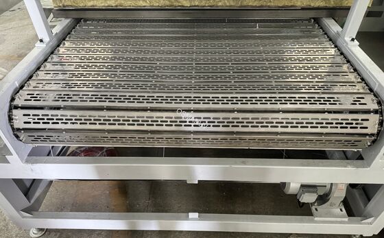 Double Layer Natural Gas Industrial Drying Machine Stainless Steel Punching Chain Plate Belt For Pulp Mold Bottle Tableware High End Industrial Package