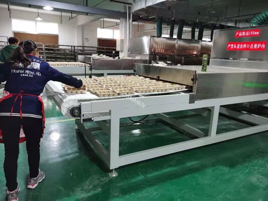 Equipamento inovador de secagem a vácuo por microondas com ampla gama de temperaturas