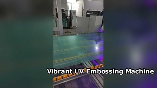 Linha de revestimento de gravação em relevo para aplicações em vidro, TV a laser, metal e tela/360–410V, 50Hz
